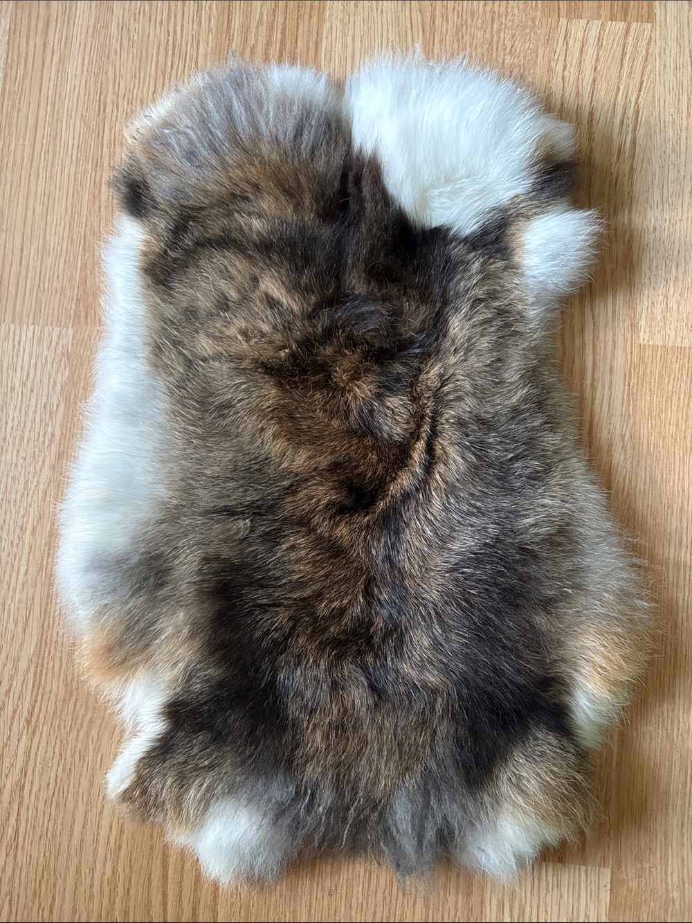 B0214 rabbit pelt
